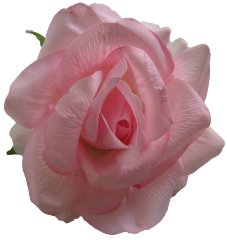 Цветок-заколка Real Rose 